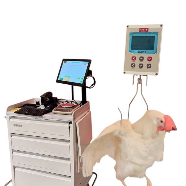 Chicken Line Record and ID Desk